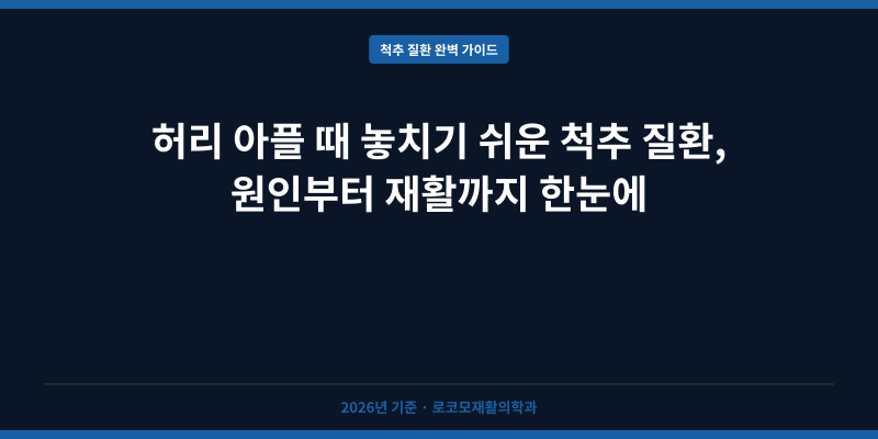 허리 아플 때 놓치기 쉬운 척추 질환, 원인부터 재활까지 한눈에