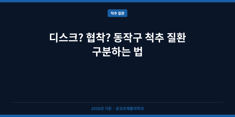 디스크? 협착? 동작구 척추 질환 구분하는 법
